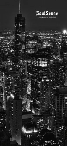 soulsense 壁纸 | 一个只属于黑白的世界