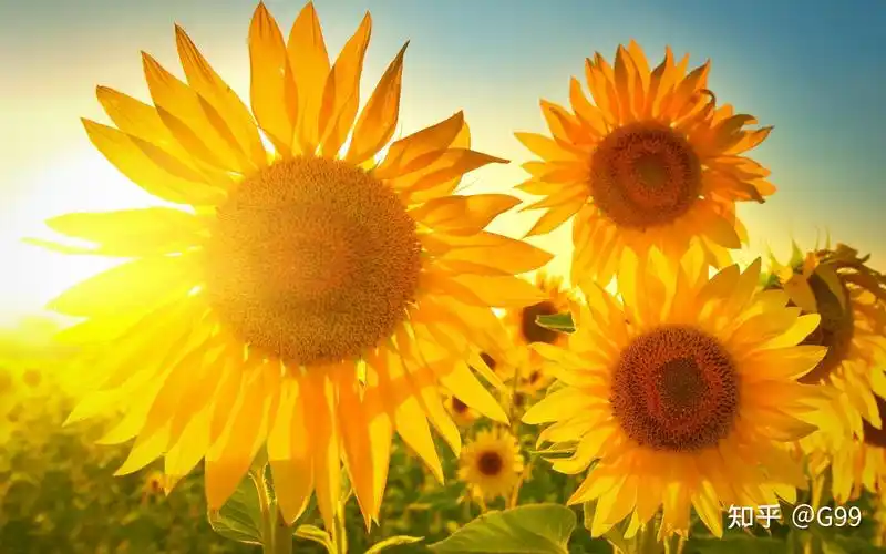 可以把你摘抄过的积极向上的句子分享给我吗? - 知乎