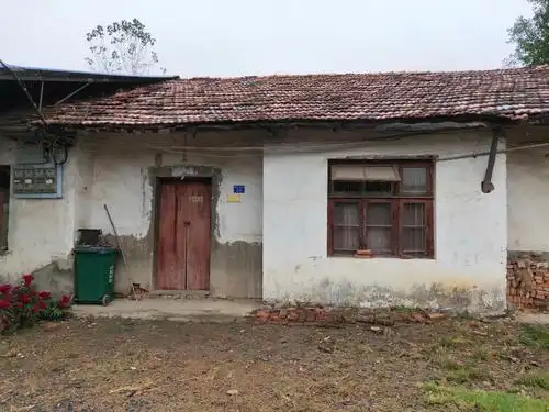 江夏区 金水办事处 新沟大队 2室1厅 1层 平房 养宠物