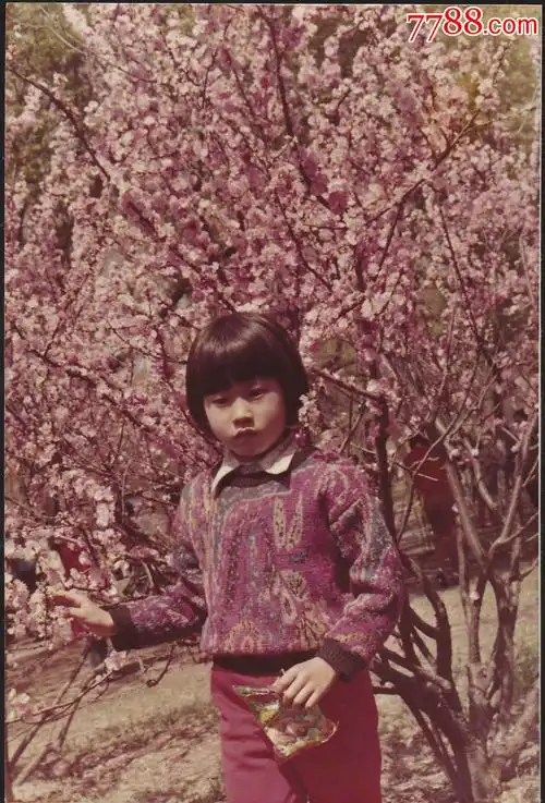 80年代儿童系列--小女孩在桃花树下留影