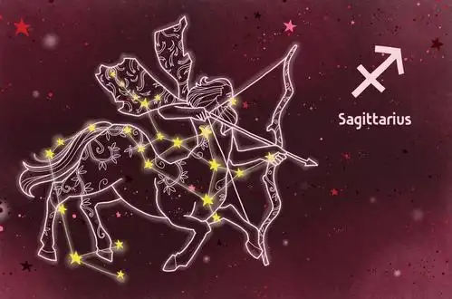 (11月23日~12月21日)特点:射手座有野心,思维活跃,特立独行,善于打破