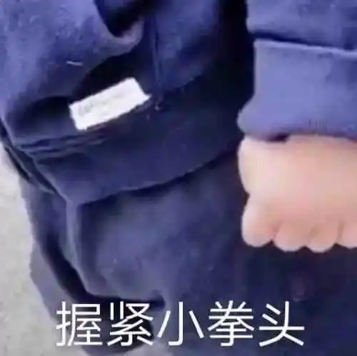 2022双十一剁手攻略之——厨房好物篇