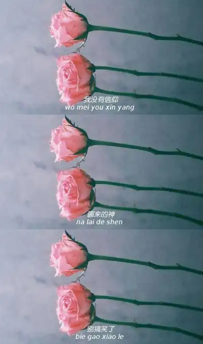 默认专辑 - 堆糖,美图壁纸兴趣社区