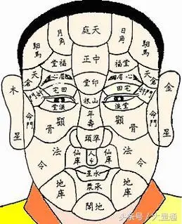 面相知识:人中与命运