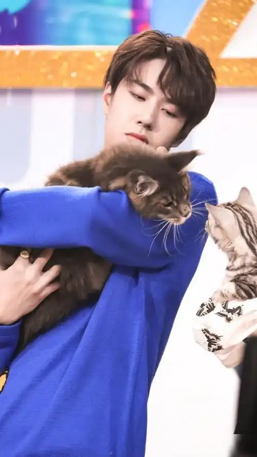 我是王一博的猫让本喵来介绍一博哥哥休息日的一天行程吧