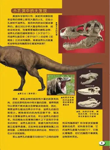 霸王龙究竟长啥样