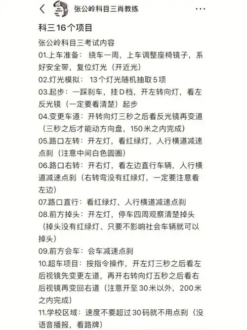 科目三记住这16个项目一把过