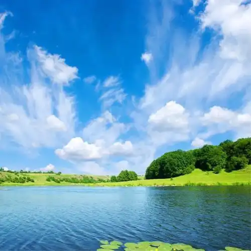 适合永久做头像的图片高清简单干净又耐看
