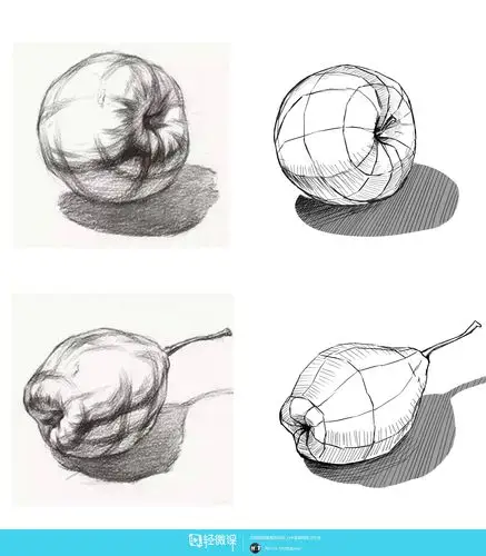 学员作业:学原画要不要学素描之水果结构素描画法训练 - 轻微课