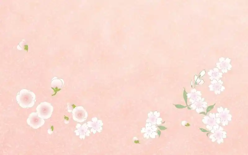 来自碧涵大帝的图片分享-堆糖网