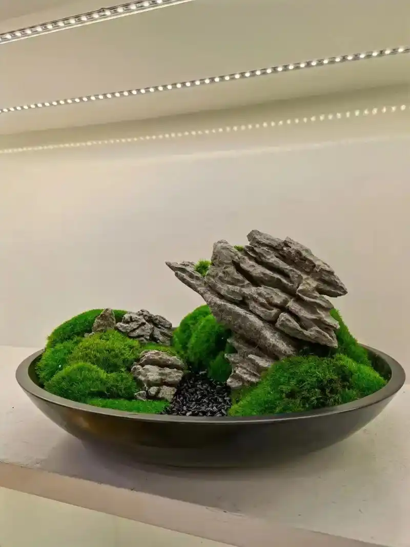绿植分享桌面绿植苔藓微景观软装搭配摆件