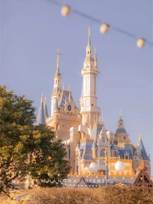 梦幻迪士尼治愈系童话风城堡色调滤镜78