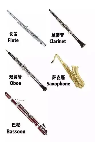 美乐棋小空中课堂微课程 ——二年级音乐课《西洋管乐器知识》