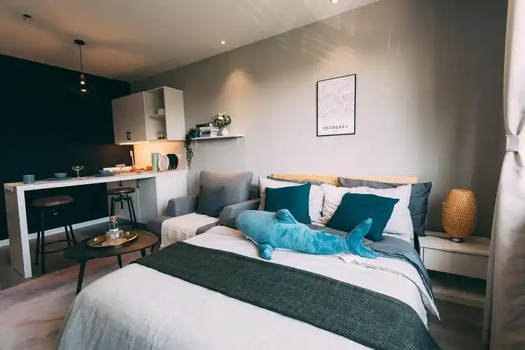 杨浦整租一居室,ins风等你哦