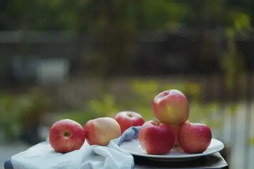静物摄影|水果摄影|外景拍摄