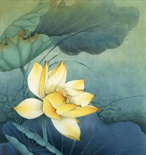 国画教程五种工笔莲花的绘画着色步骤详解