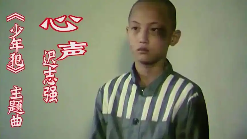 少年犯主题曲心声