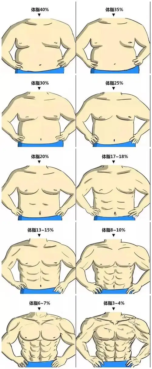 ▼不同体脂时的身材肌肉量差不多一般来说,男生体脂15%会开始有腹肌