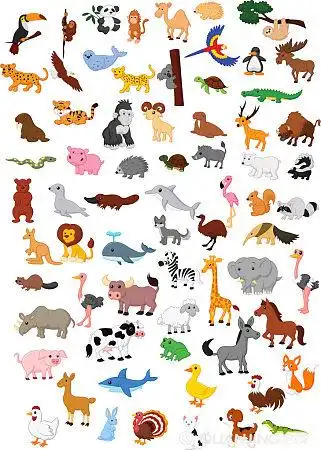 动物图片_动物高清图片_全景视觉