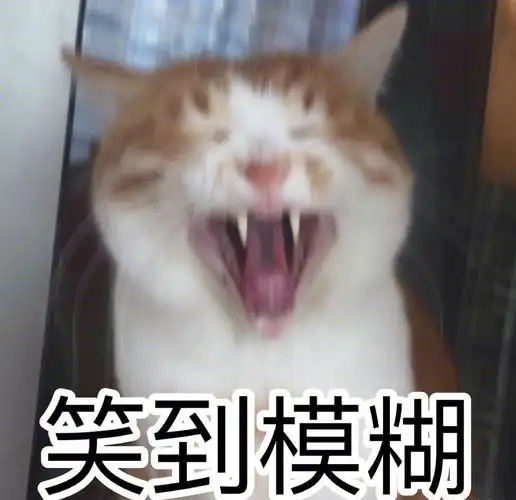 笑到模糊模糊表情