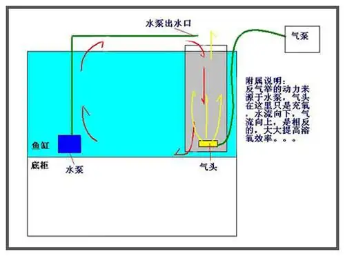 常见鱼缸过滤方式原理以及使用方法