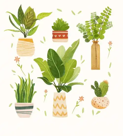 治愈系植物|插画|商业插画|秋野耶 - 原创作品 - 站酷 (zcool)