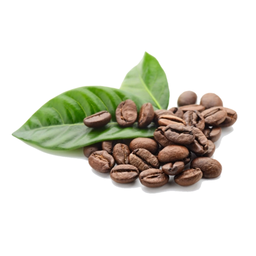coffeebeans hd png images