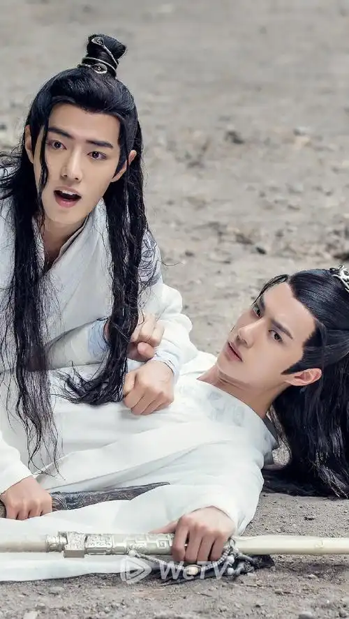 肖战王一博陈情令