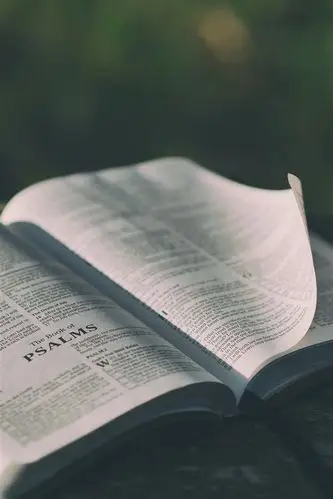 壁纸 一本书打开了,朦胧 3840x2160 uhd 4k 高清壁纸, 图片, 照片