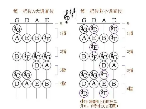 小提琴初学者把位图