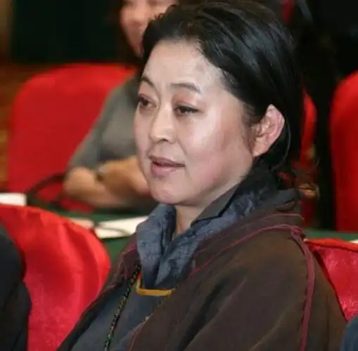 64岁倪萍近照认不出!久未露面模样大变,苹果肌肿胀僵硬被疑整容