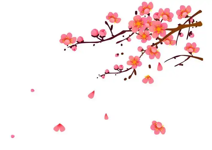 梅花- 张_zhang - 原创作品 - 视觉中国(shijueme)