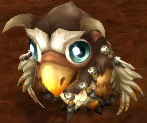 魔兽世界宠物系列之枭兽宝宝获取指南