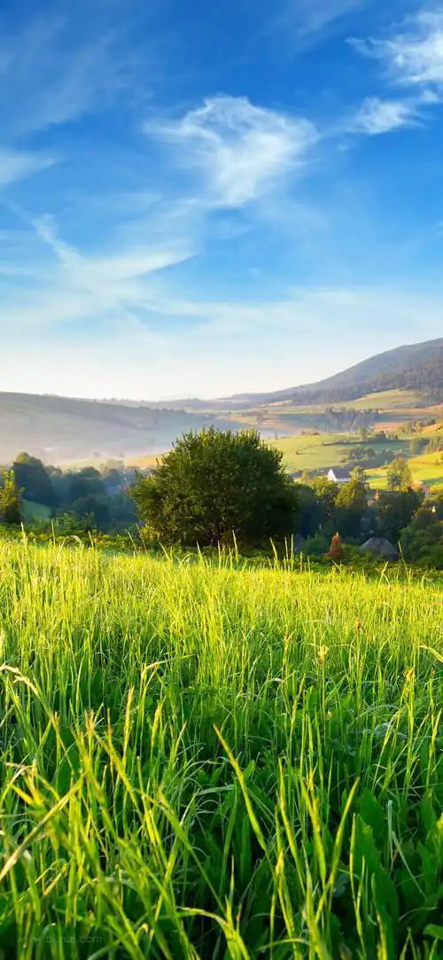 4k极清竖屏手机壁纸风景