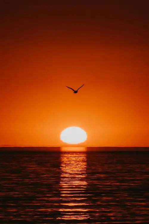 结婚十年丈夫有了异心直到我也有了男友提出离婚他却哭着不肯