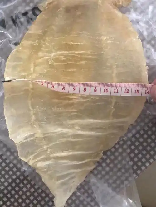 舟山野生鮸鱼膏