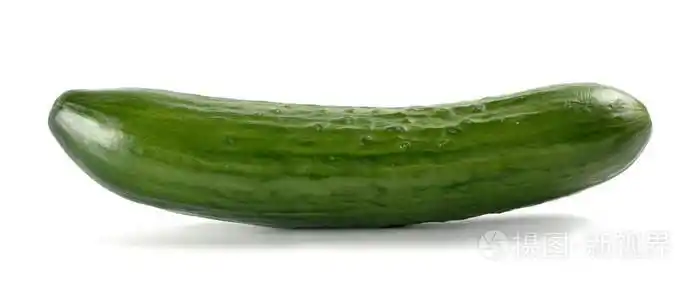 单根黄瓜