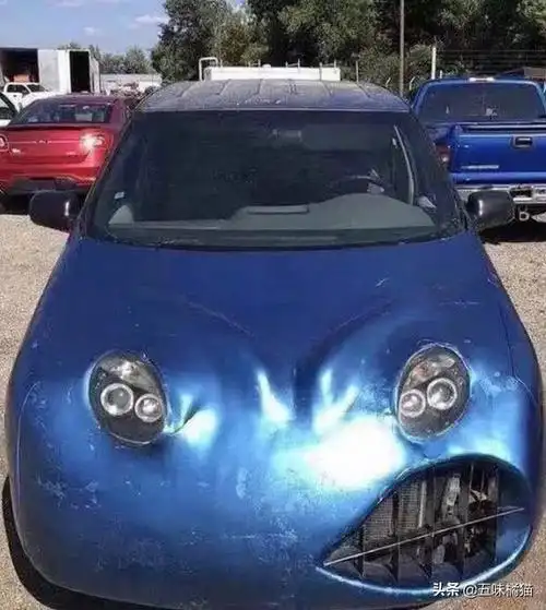 晒出你看到过最搞笑的改装车