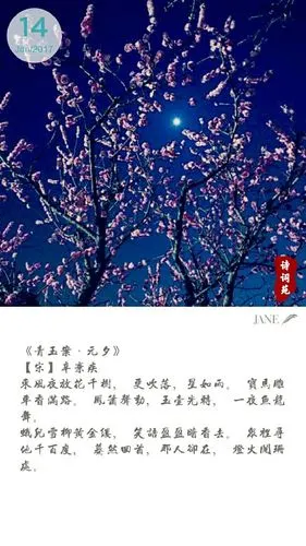 唯美的宋词文字图片,文字,文字,唯美,语录,古诗词