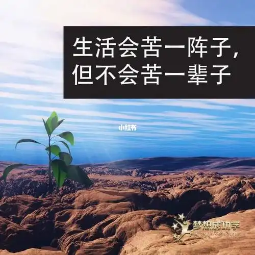 「重大科普」谁知道我心里的苦句子(已更新)