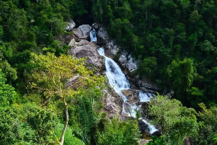 吊罗山国家森林公园