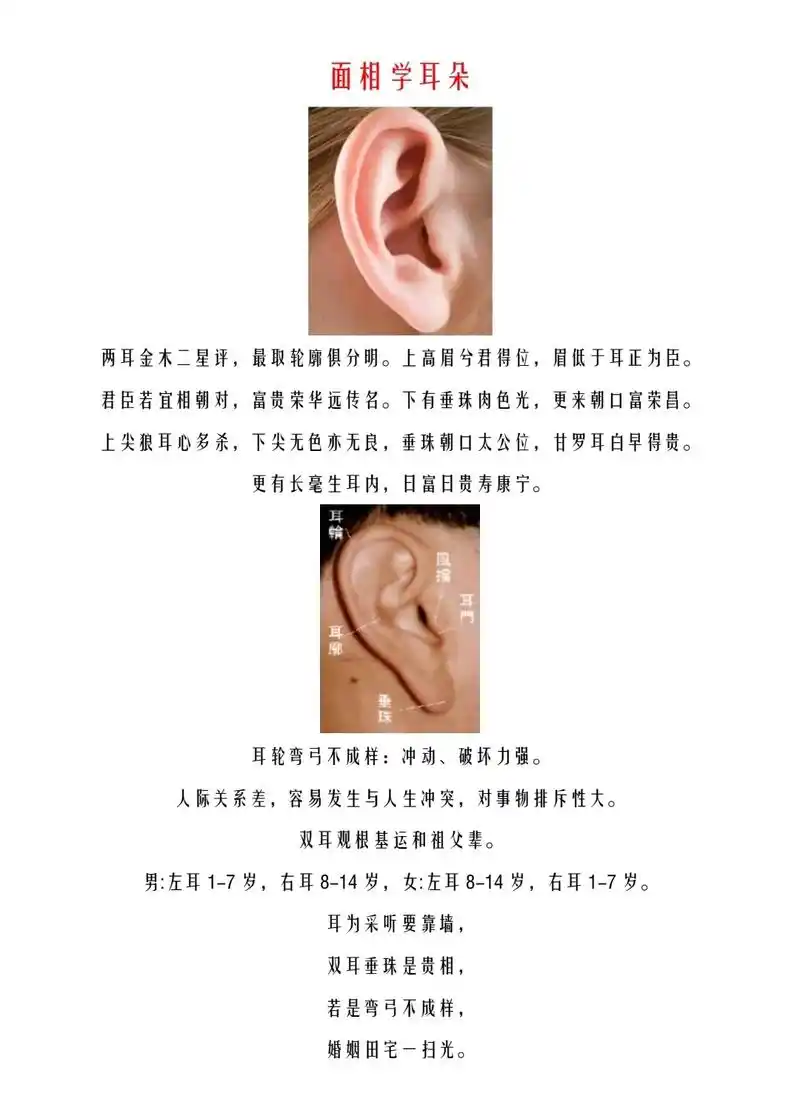 面相学耳朵.#国学文化 #干货分享 #面相 #识人术 #耳朵 - 抖音