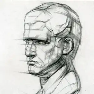 素描头像石膏结构图片