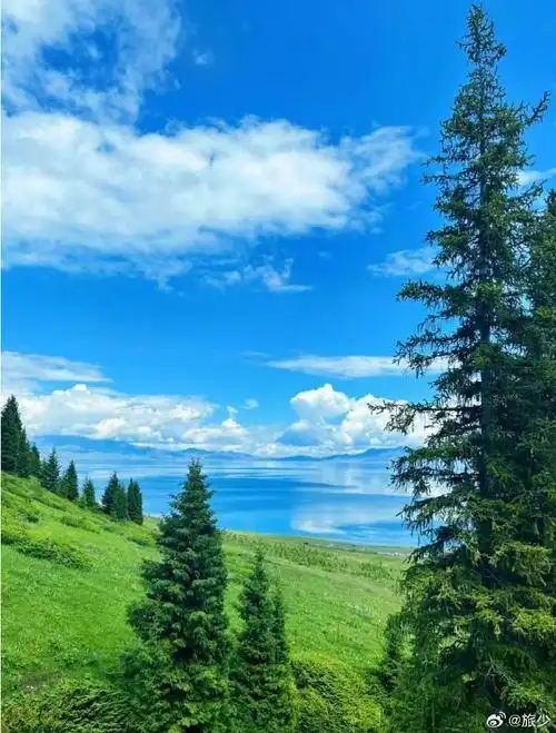 这个夏天总要去一趟大草原吧