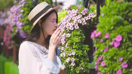 晴天花丛中的美丽姑娘在闻花香