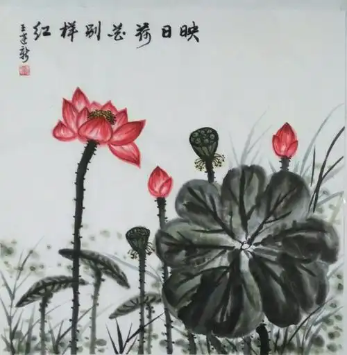 王建新画荷花《映日荷花别样红》.