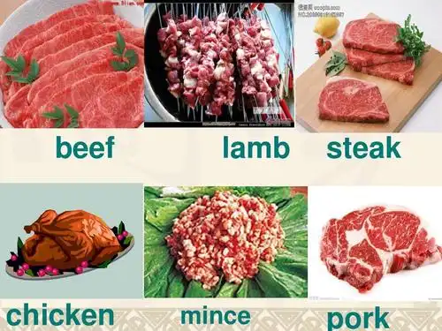 新概念英语第一册第49-50ppt