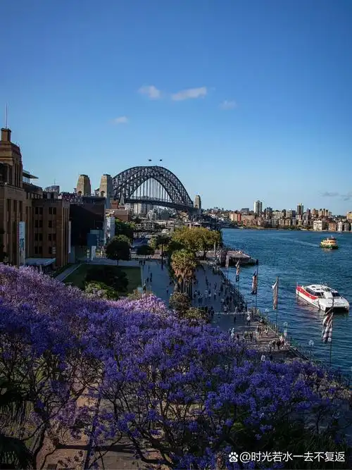 蓝花楹绽放季,悉尼赏花全攻略 每年10月底至11月,是澳洲蓝花楹盛开的