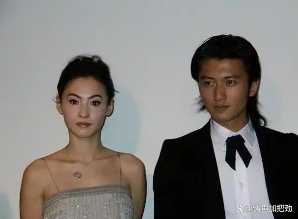 谢霆锋骂张柏芝"脏女人",张柏芝回怼四字让谢霆锋无言以对