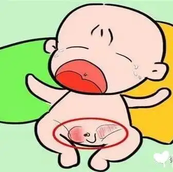 分享— 宝宝的"蛋蛋"一大一小怎么看?_母婴